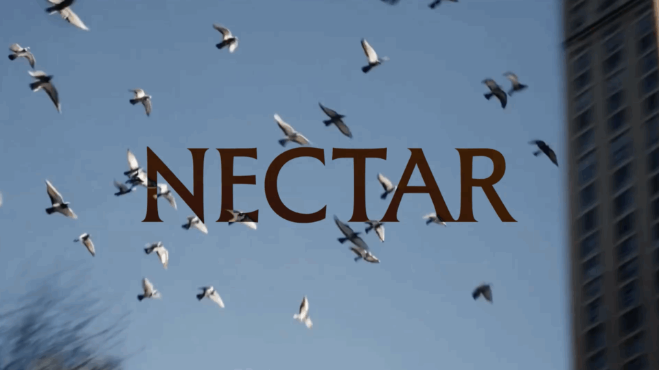 Descriptive alt text for image 2 - This image shows important visual content that enhances the user experience and provides context for the surrounding text.